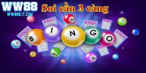 tong-quan-nhung-thong-tin-moi-nhat-ve-soi-cau-3-cang